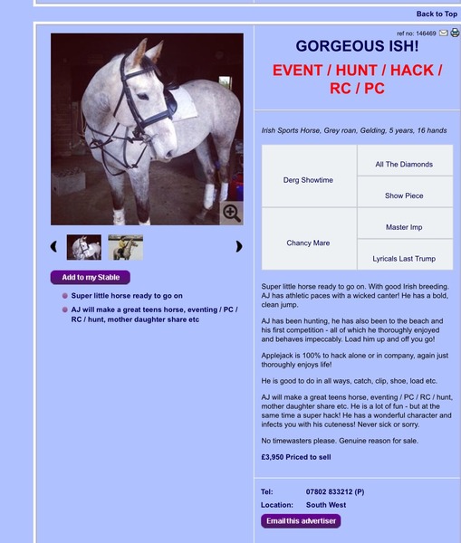 five stage vetting