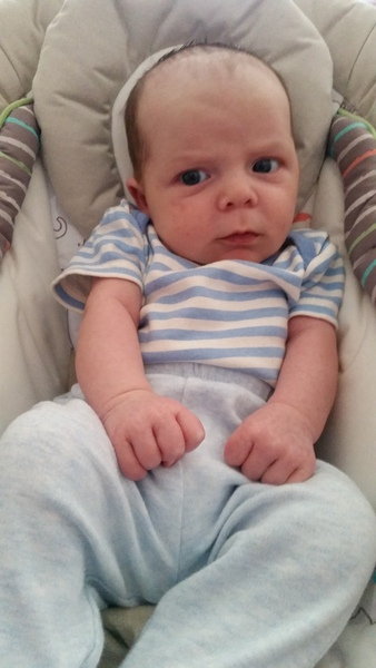 March 2016: the one where Indomitable gives birth...