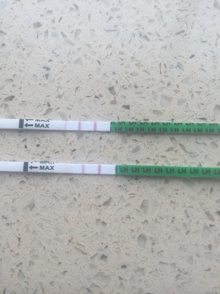 Back to SQUARE ONE CD1! Anyone want to spend April with me?!