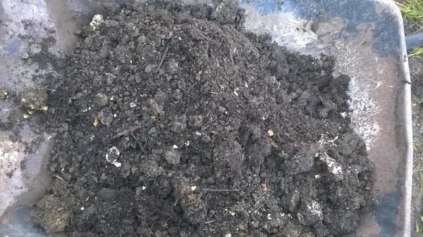 look at my lovely compost [grin]