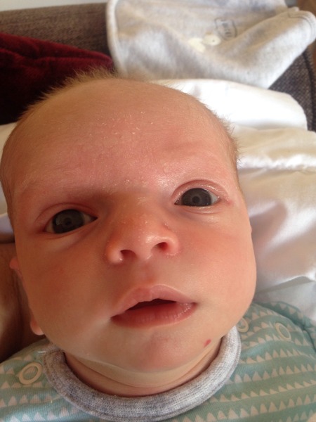 March 2016: the one where Indomitable gives birth...