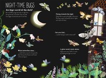 Win a copy of buzzily beautiful 'The Big Book of Bugs'