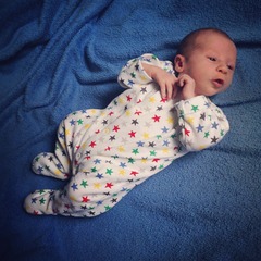 March 2016: the one where Indomitable gives birth...