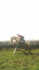 five stage vetting