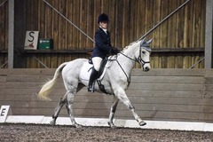 five stage vetting