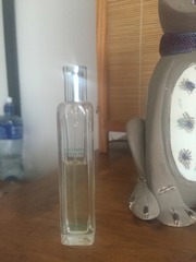 Revived perfumistas thread 2