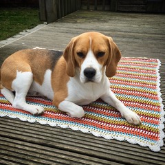 Thread #5 - TTC#1 grads thread - now we're cooking with charcoal!