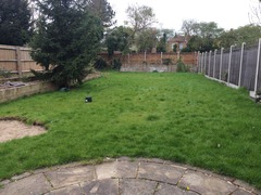 Veg patch landscaping, how much to budget?