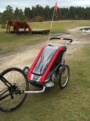 Thule Cougar feedback thread – chance to win a Sapling Elite Child Carrier for non-testers NOW CLOSED