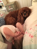 Show us your dogs?