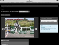 five stage vetting