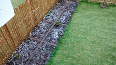 Allotment/Veg Patch Thread 5 - The Diggers Rest !