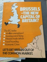 *scratches head* Why is the Remain campaign so rattled?