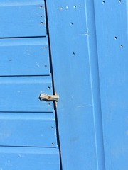 If your shed is blue or green, what paint did you colour it?