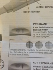 early pregnancy signs!