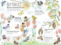 Win a copy of buzzily beautiful 'The Big Book of Bugs'
