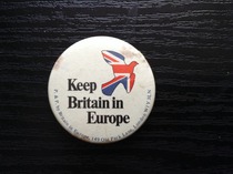 *scratches head* Why is the Remain campaign so rattled?