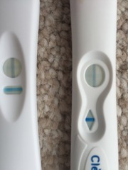 Pregnancy test results