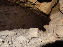 Zombie Continues Her Shuffle Into Spring