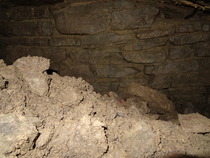 Zombie Continues Her Shuffle Into Spring