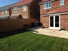 Shady characters - a permanent home for shade garden suggestions!