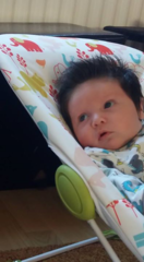 March 2016: the one where Indomitable gives birth...