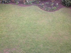 Lawn Edging