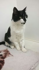 The Brave Babes Battle Bus - Springing Into Some Warmer Weather, Staying Sober Togeher