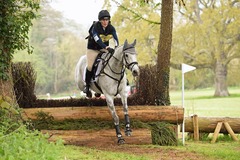 five stage vetting