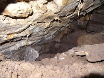 Zombie Continues Her Shuffle Into Spring