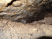 Zombie Continues Her Shuffle Into Spring