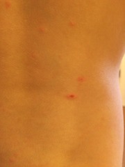 Please come and diagnose my child!