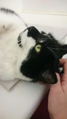 The Brave Babes Battle Bus - Springing Into Some Warmer Weather, Staying Sober Togeher