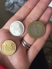 Fantastic Frugaleers Continuing Austere April!