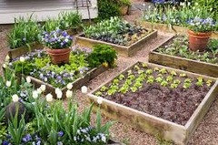 Veg patch landscaping, how much to budget?