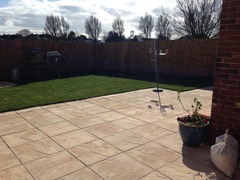 Shady characters - a permanent home for shade garden suggestions!