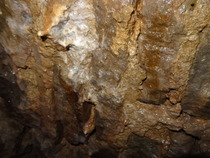 Zombie Continues Her Shuffle Into Spring