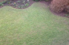 Lawn Edging