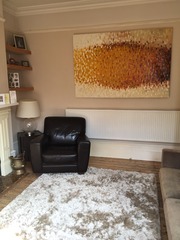 Any advice on how to decorate our new living room?