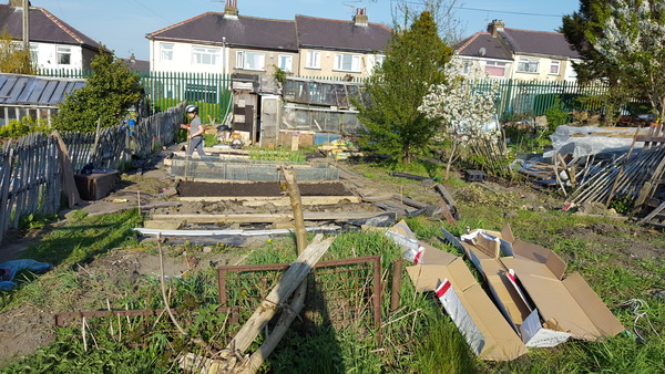 Allotment/Veg Patch Thread 5 - The Diggers Rest !