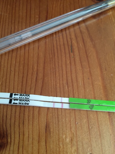 TTC after miscarriage thread #4