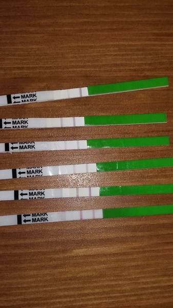 Help!!!!! OPK as HPT? What do the lines mean?