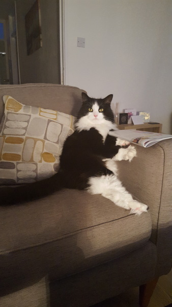 Thread #6 - TTC#1 Grads - Sun roasted pregnant ladies