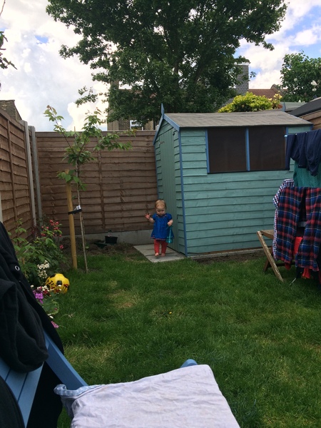 If your shed is blue or green, what paint did you colour it?