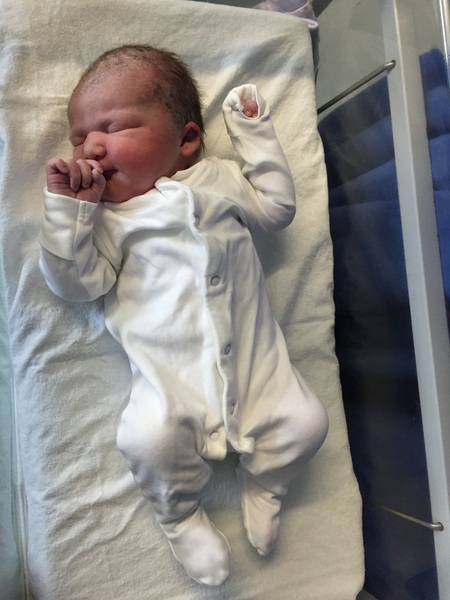 June #9, The ABSOLUTELY FINAL stretch! The one where the little ones start arriving. Here's to sleepless nights and lots of cuddles.