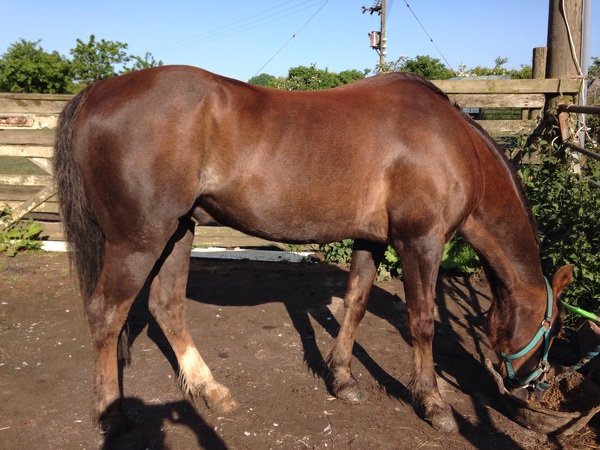 Feeding Advice would be gratefully received.