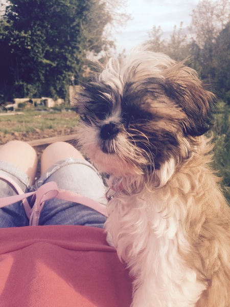 Brave Babes Battle Bus is Racing Along.....