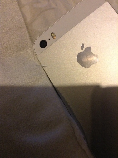 Help iPhone Fell in Puddle