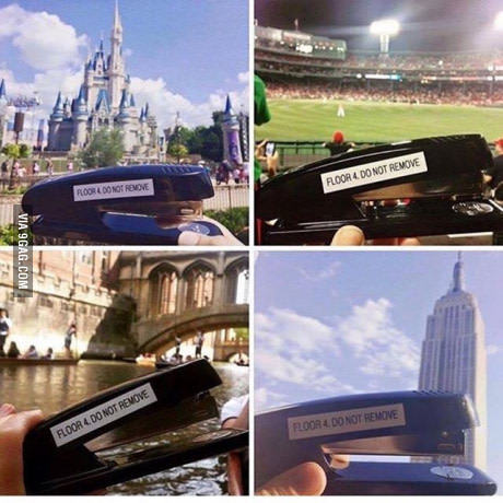 My colleague has thrown my lunch in the bin