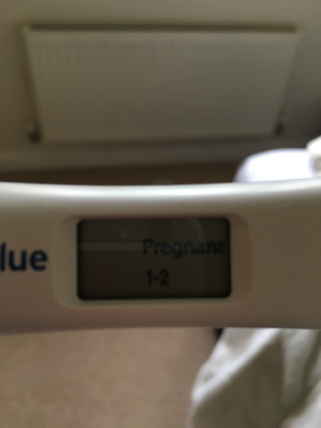 need opinions on this test! please!